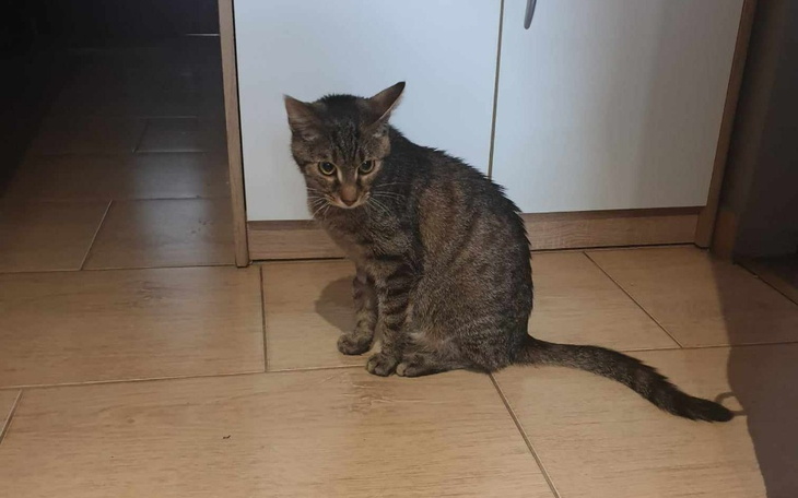 Zbiórka Pomóżmy wygrać Lusi życie - zdjęcie główne