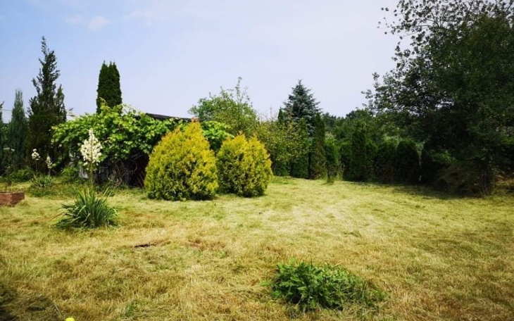 Zbiórka co dalej - zdjęcie główne