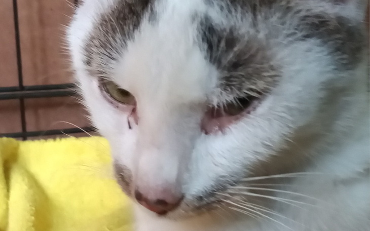 Zbiórka Filemon odszedł został dług - zdjęcie główne