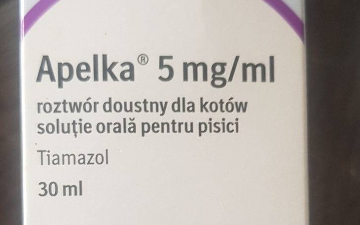 Zbiórka Na leki dla Kotełków - zdjęcie główne