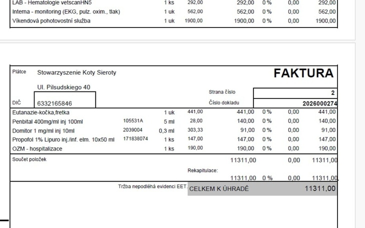 Faktura z danymi i szczegółami zamówienia.