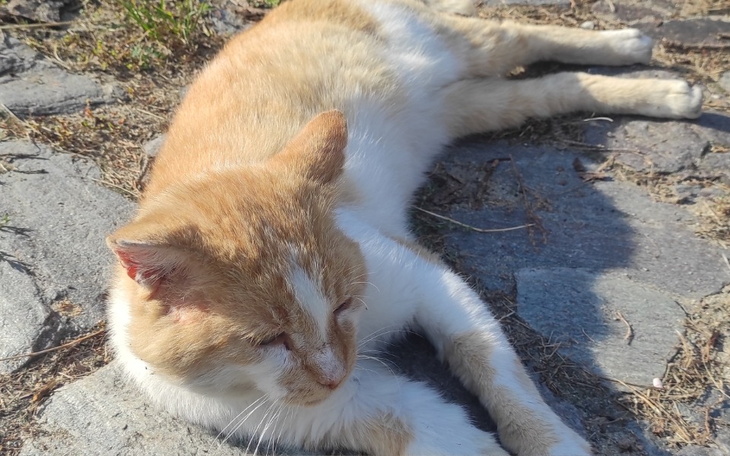 Zbiórka Na leczenie i utrzymanie Prezesa - zdjęcie główne