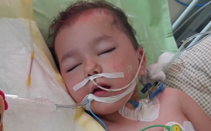 Zbiórka Rehabilitacja 4 letniej Bianki - zdjęcie główne