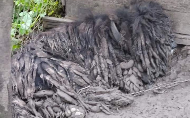 Zbiórka Wyrok śmierci - zdjęcie główne