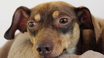 Zbiórka Pomóż Tomaszowi opłacić fakturę - miniaturka zdjęcia