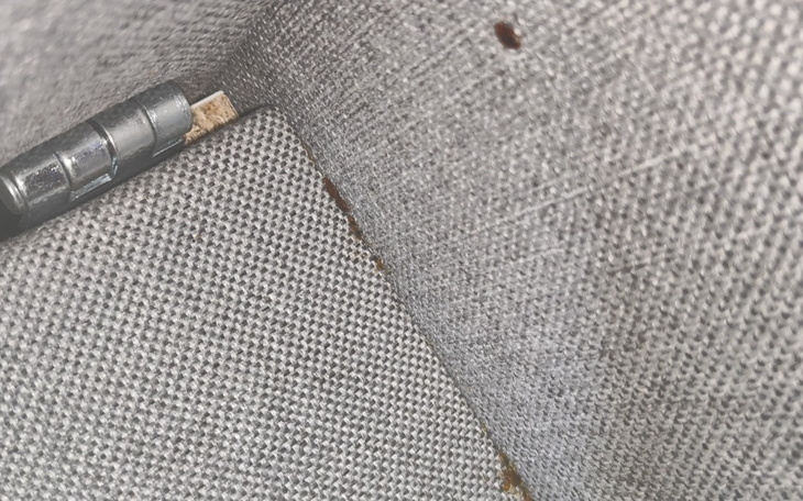 Zbiórka Mieszkanie z pluskwami - zdjęcie główne