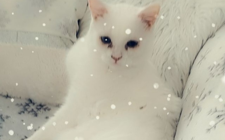 Zbiórka Przeżyła wojnęWygrajmy z chorobą - zdjęcie główne