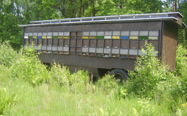Zbiórka Odbudowa spalonej pasieki - zdjęcie główne