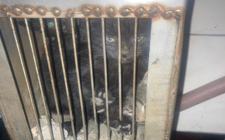 Zbiórka Miały umrzeć w kominie - zdjęcie główne