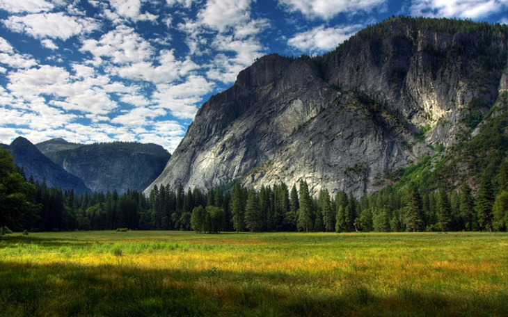 Zbiórka Walka o szczęście z PTSD - zdjęcie główne