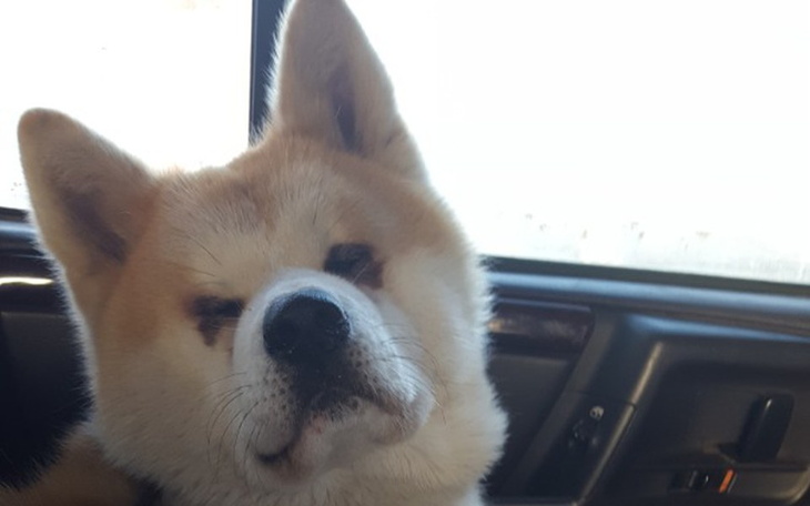 Zbiórka Ratujemy wzrok teda - zdjęcie główne