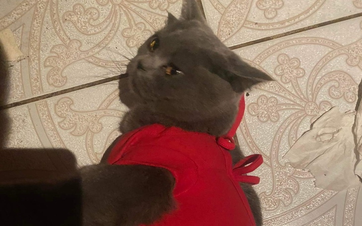 Zbiórka Nie pozwólmy umrzeć Chudiniemu - zdjęcie główne