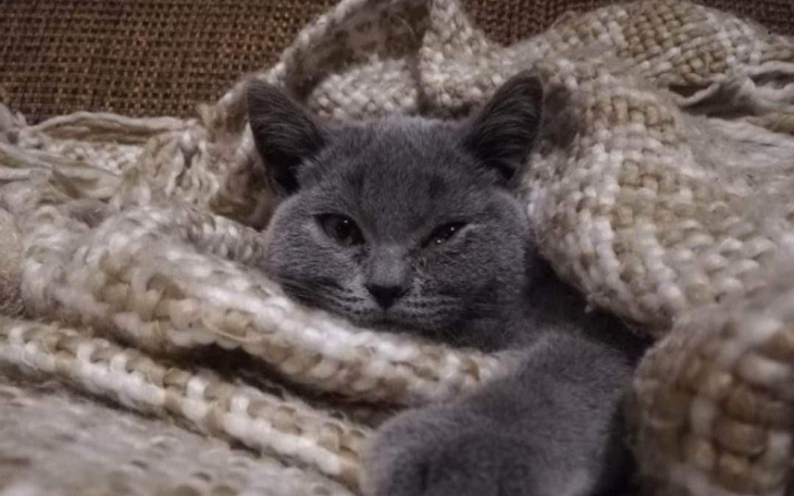 Zbiórka Na obserwacje dla Pawlaka - zdjęcie główne