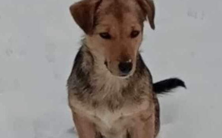 Zbiórka Sunia z działek ma szansę na dt - zdjęcie główne