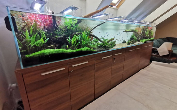 Zbiórka Spęlnienić jedno z dwóch marze - zdjęcie główne