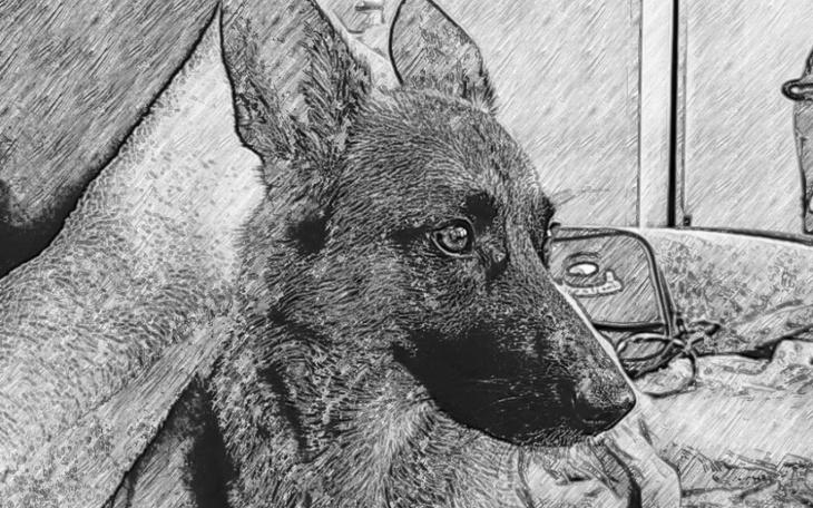 Zbiórka Pomoc na rachunki nie daje rady - zdjęcie główne