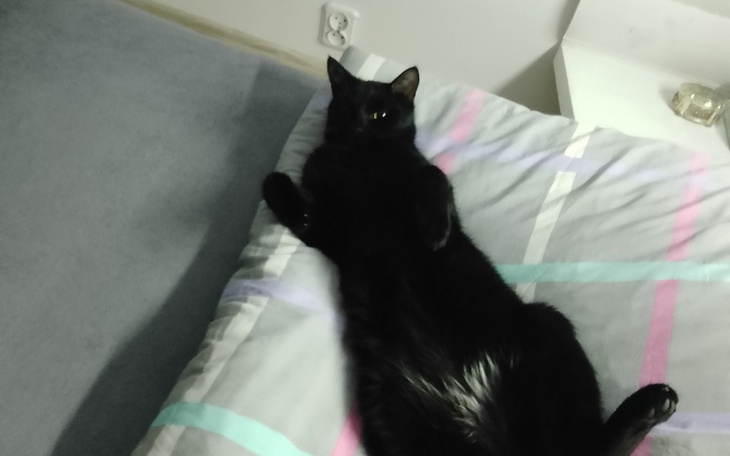 Zbiórka Na walkę z Fipem - zdjęcie główne