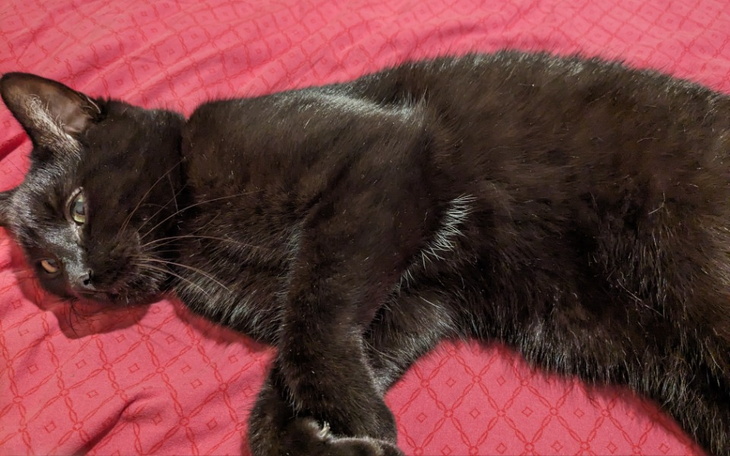 Zbiórka Na miejsce do spania - zdjęcie główne