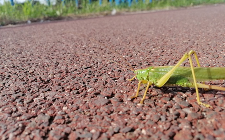 Zbiórka J inflacja P straciłem I pracę S - zdjęcie główne