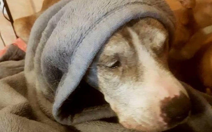 Zbiórka dla staruszkow z hotelu STEFANEK - zdjęcie główne