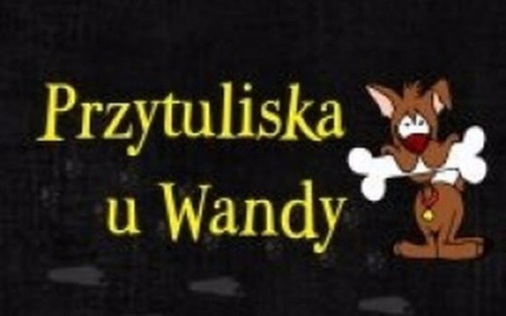 Zbiórka Maty cieniujące dla Przytuliska - zdjęcie główne