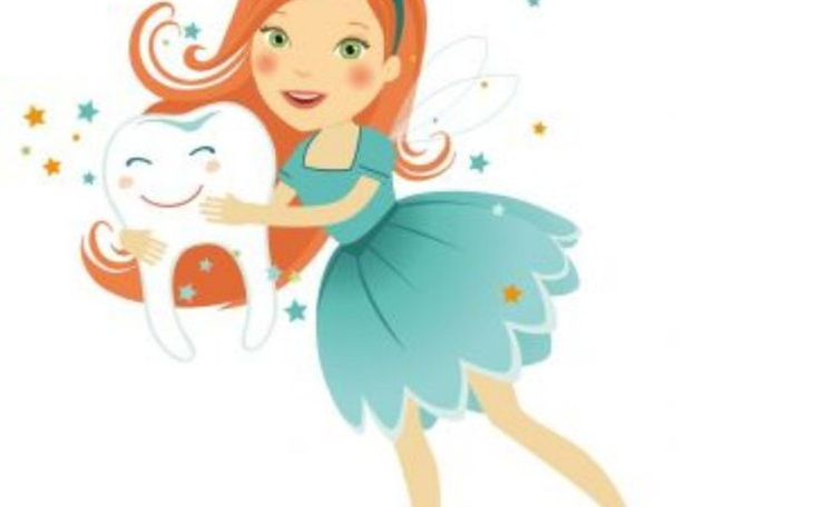 Zbiórka Wrozka zebuszka - zdjęcie główne