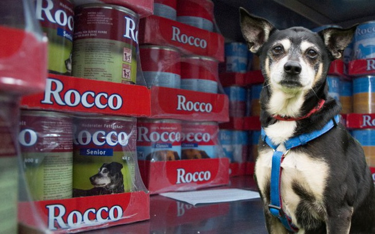 Zbiórka Puszka dla staruszka - styczeń - zdjęcie główne