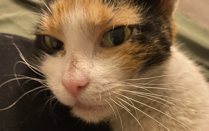 Zbiórka Jestem Lucynka - zdjęcie główne