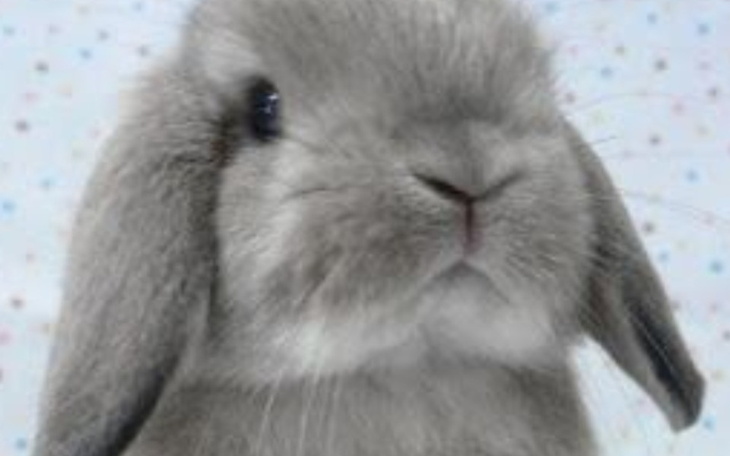 Zbiórka Zbieram na szalone marzenie - zdjęcie główne