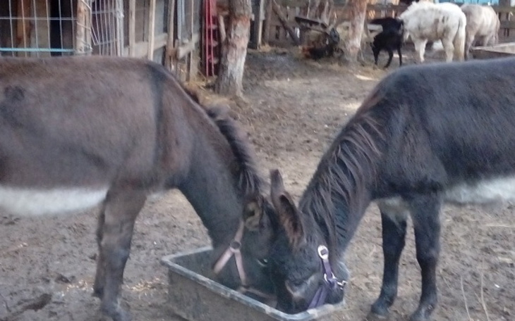 Zbiórka Dług do spłacenia -POMÓŻCIE - zdjęcie główne