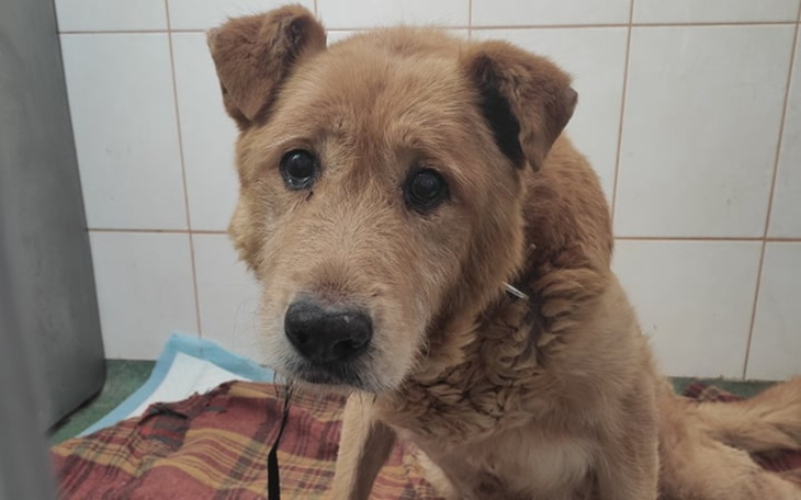 Zbiórka Ares- walka o oddech - zdjęcie główne