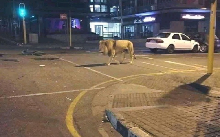 Zbiórka Spóźnione wakacje. - zdjęcie główne