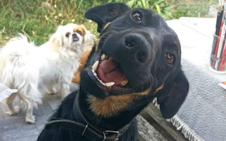 Zbiórka Hotel dla Zorki - zdjęcie główne