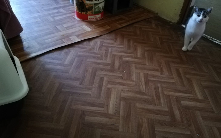 Zbiórka Pilne, podłoga dla maluchów - zdjęcie główne