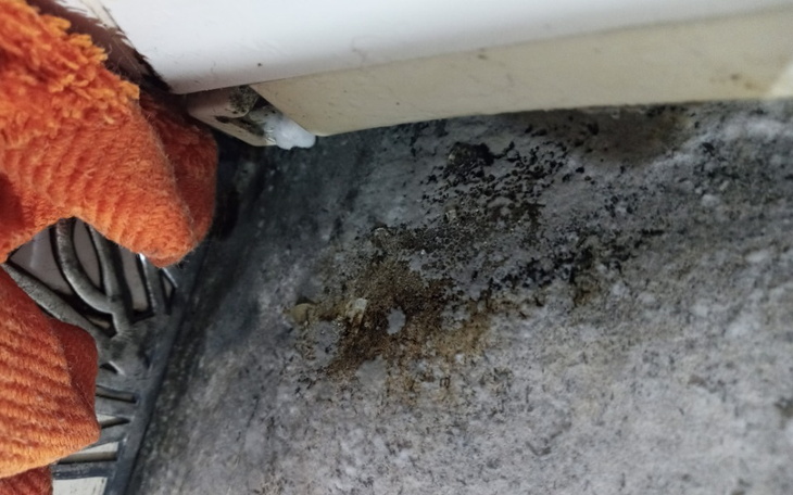 Zbiórka Osuszenie i odgrzybienie mieszka - zdjęcie główne