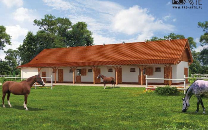 Zbiórka Budowa stajni marzeń - zdjęcie główne