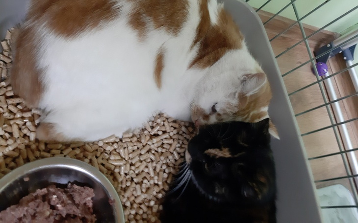 Zbiórka One też chcą jeść - zdjęcie główne