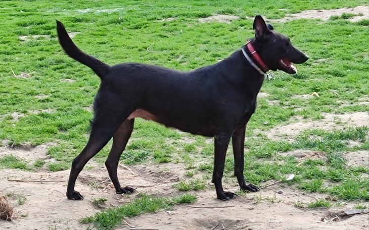 Zbiórka Na hotel dla Neli - zdjęcie główne