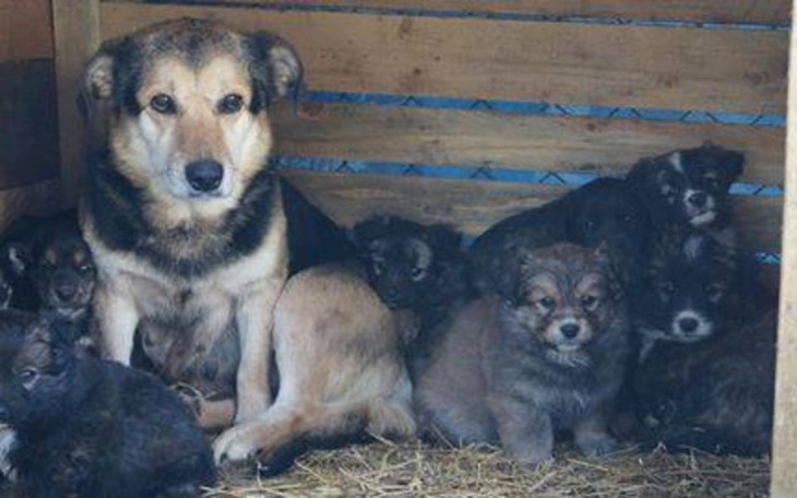 Zbiórka Nikomu niepotrzebna ;( - zdjęcie główne