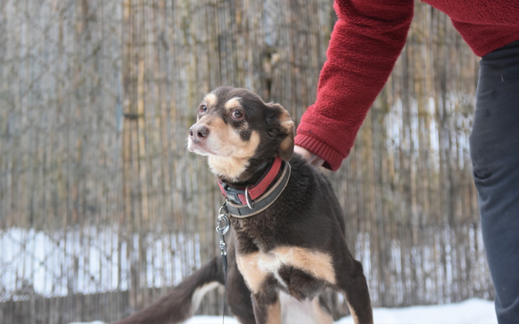 Zbiórka Napełnić miseczkę - zdjęcie główne