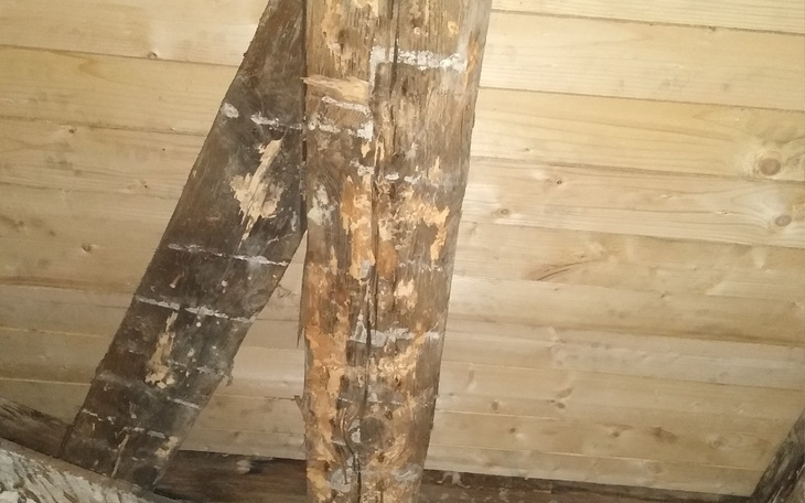 Zbiórka Remont mieszkania po zalaniu... - zdjęcie główne