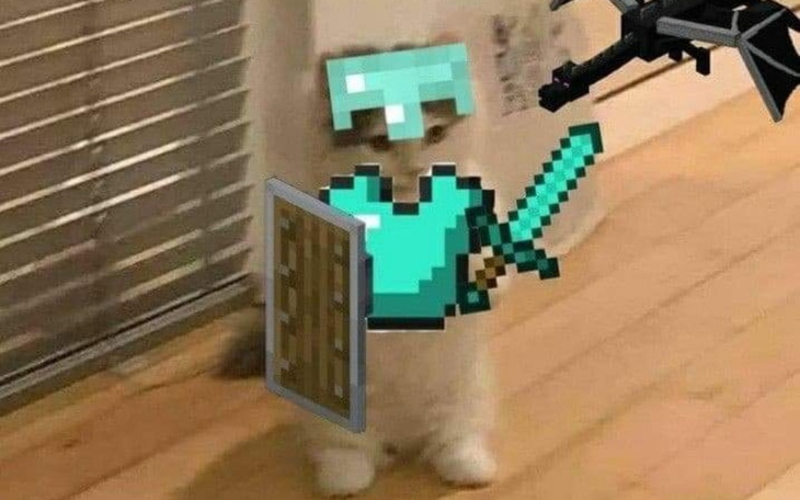 Zbiórka Na premkeD - zdjęcie główne