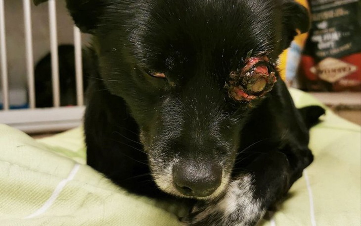 Zbiórka Renia prosi o pomoc - zdjęcie główne