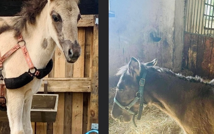 Zbiórka Montana Druga Szansa - zdjęcie główne