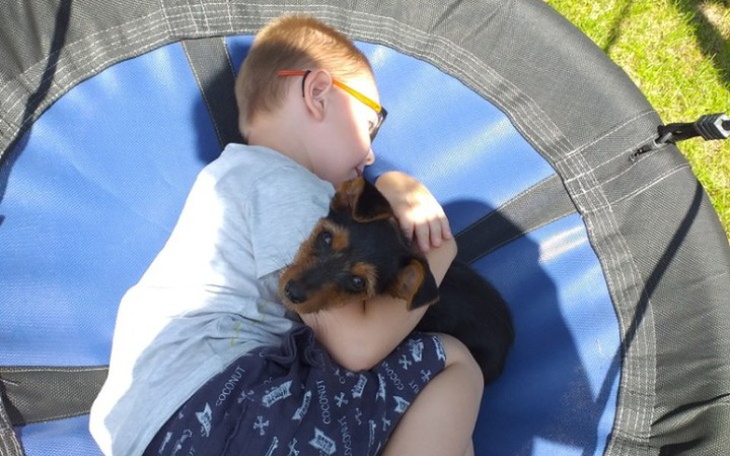 Zbiórka Na operację pieska po wypadku - zdjęcie główne