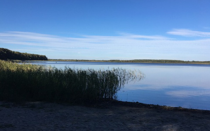 Zbiórka Pomoc naiwnej - zdjęcie główne