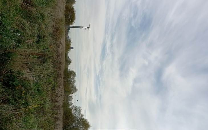 Zbiórka NA Operację wymiany biodra - zdjęcie główne