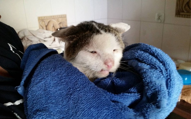 Zbiórka Pasztet zbiera na powieki! - zdjęcie główne