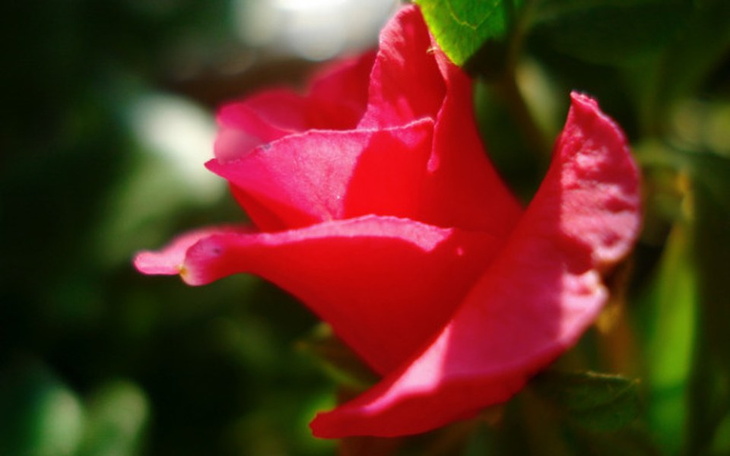 Zbiórka Aparat fotograficzny pasja - zdjęcie główne