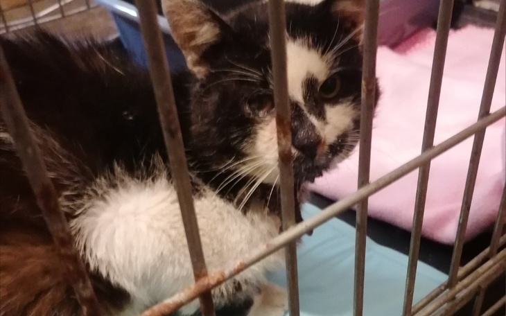 Zbiórka Marley - zdjęcie główne